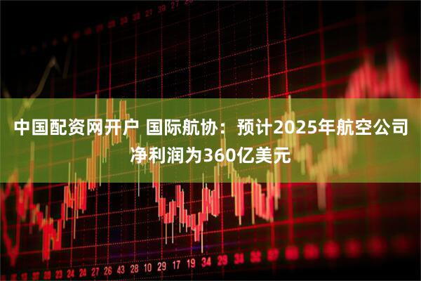中国配资网开户 国际航协：预计2025年航空公司净利润为360亿美元
