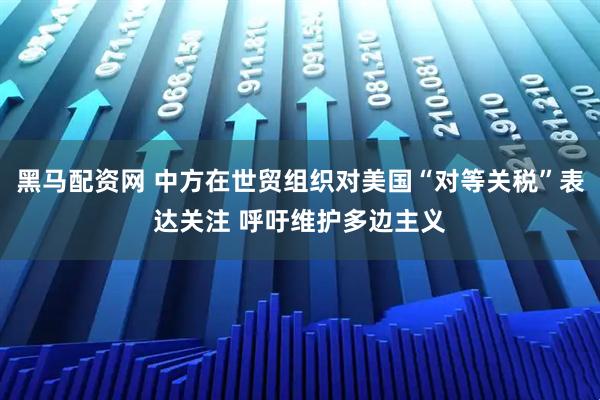 黑马配资网 中方在世贸组织对美国“对等关税”表达关注 呼吁维护多边主义